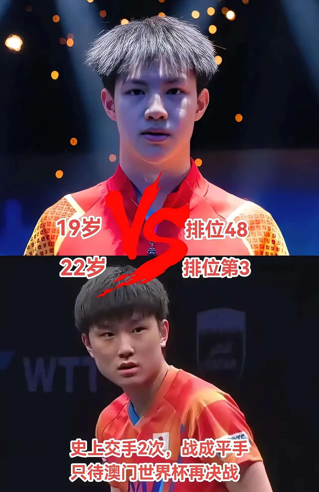 葡萄牙队力克韩国队,张本智和惊艳四座 葡萄牙队力克韩国队,张本智和惊艳四座