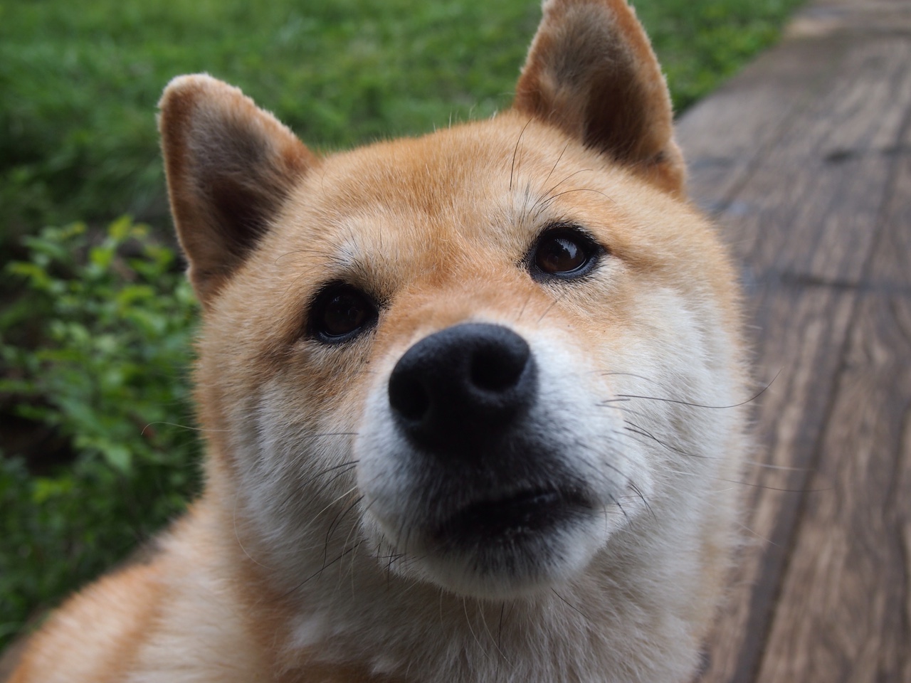 唯一性，戈麦斯，与一场争冠之夜的宿命喜剧