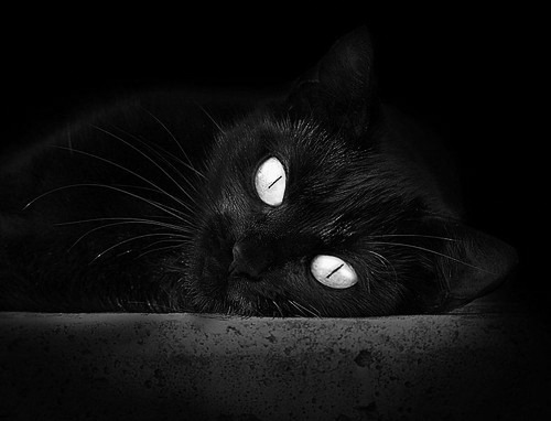 孤星难耀长夜,班凯罗41分存在感拉满,却成火箭群狼撕碎山西队最后背景