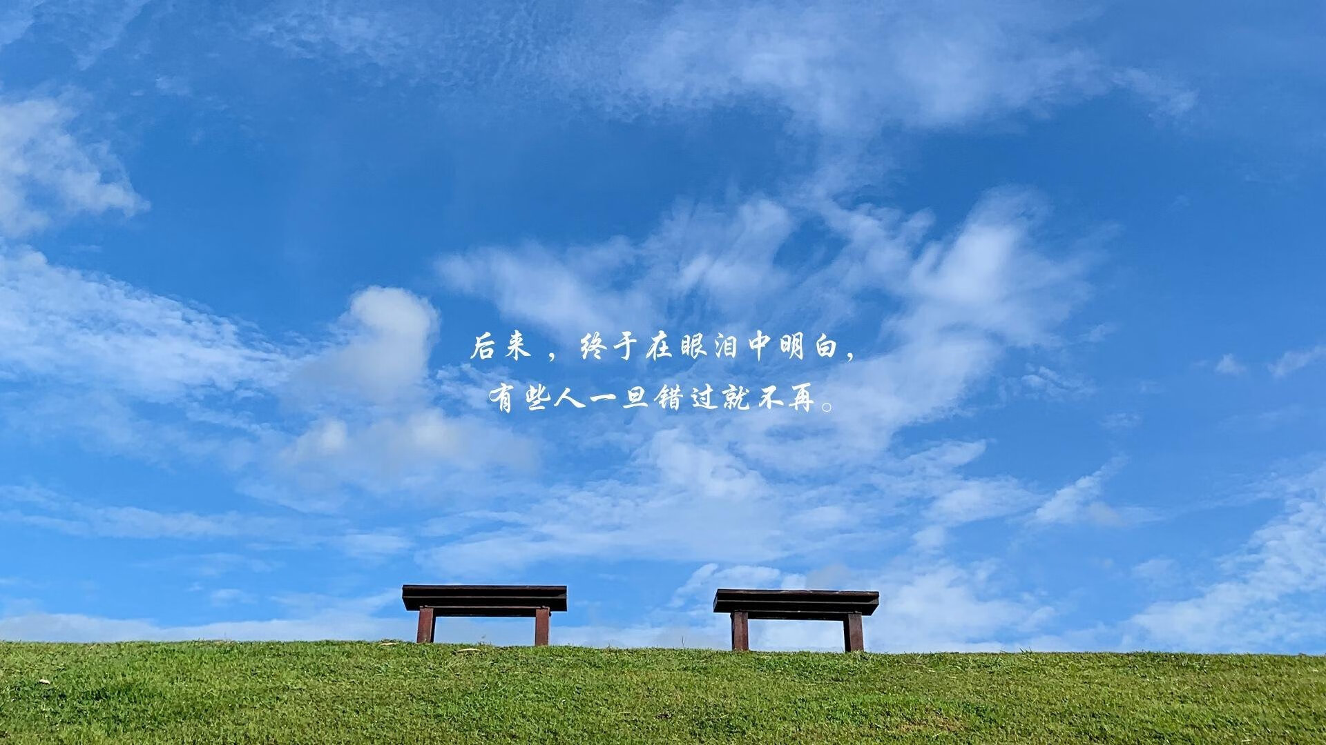 当德意志铁骑遭遇地中海烈焰,多特蒙德战术如何绞杀马赛的创造力