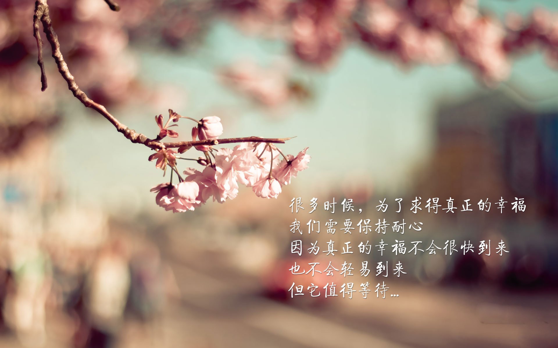 玻璃瓦尔后裔的神性时刻,当努涅斯将高原主场化作独角戏舞台