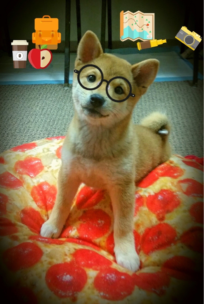 孤狼觉醒，当乔治的怒吼撕碎活塞，冠军基因正在明尼苏达扎根