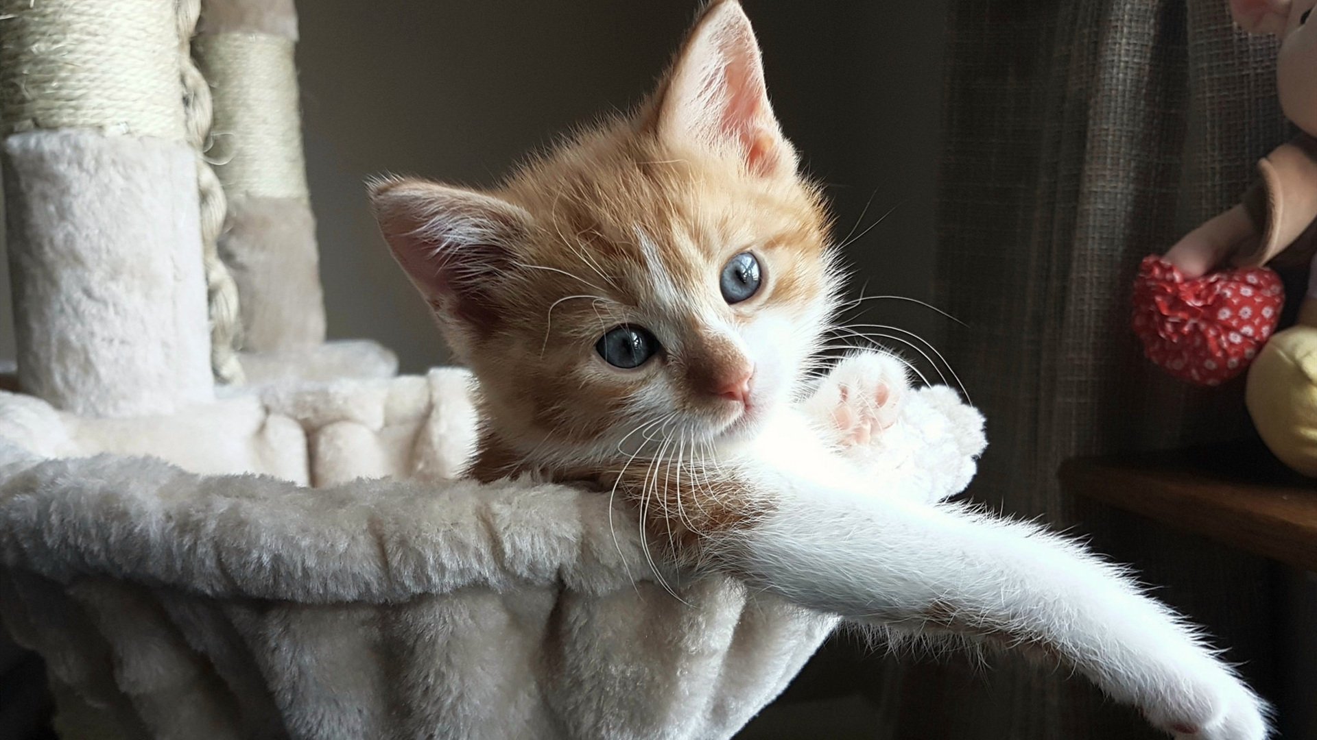 双线传奇,篮球场上的马刺狂潮与赛道上的克莱统治