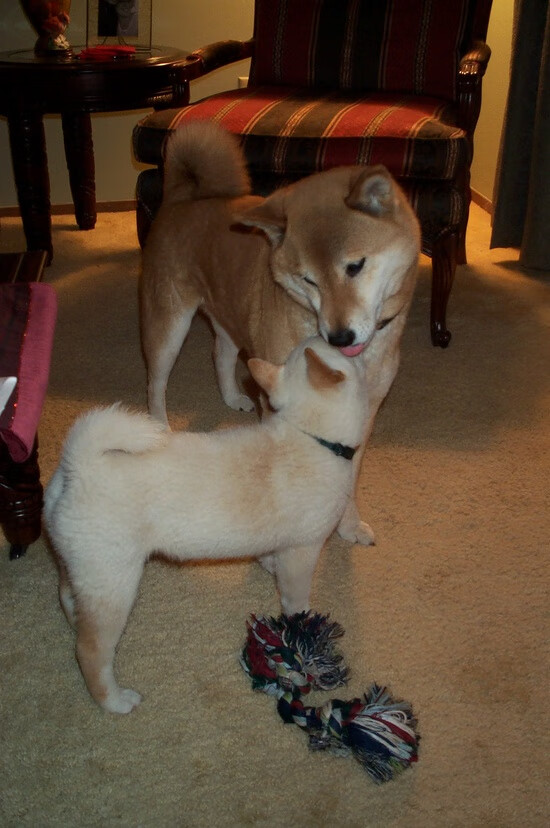 教科书级演出，班凯罗如何用绝境破局点亮德甲争冠夜