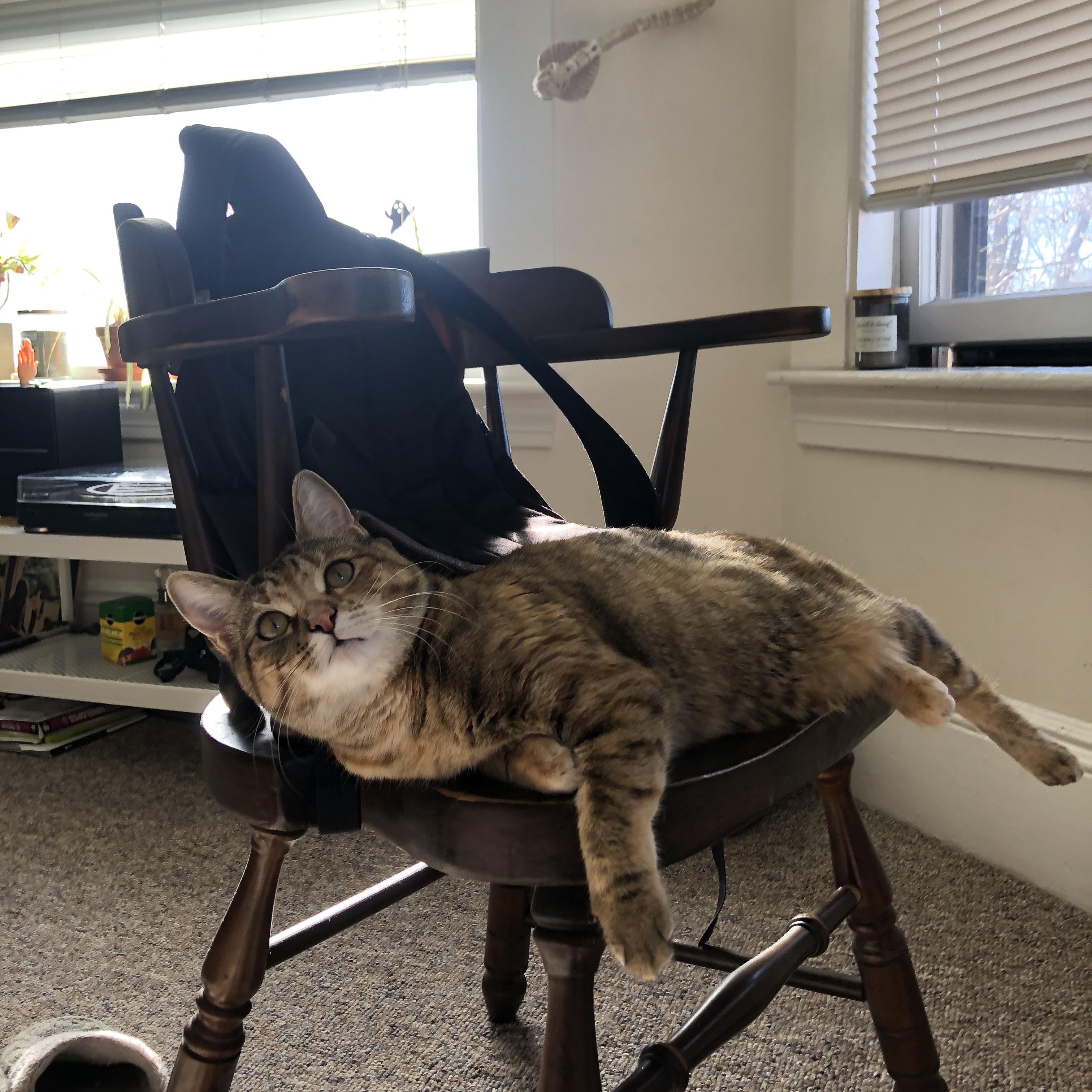 唯一之战，卡塔尔在美加墨世界杯焦点战中轻取里昂，改写足球史册