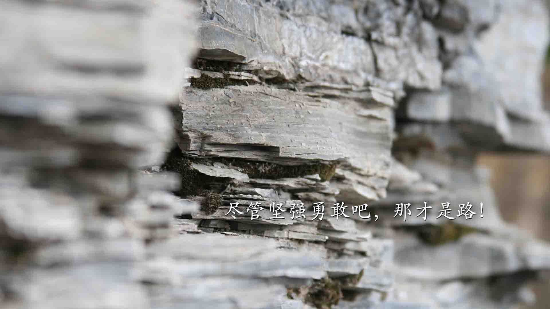2026世界杯H组暗战,匈牙利铁幕压制韩国,范戴克铸就后防传奇